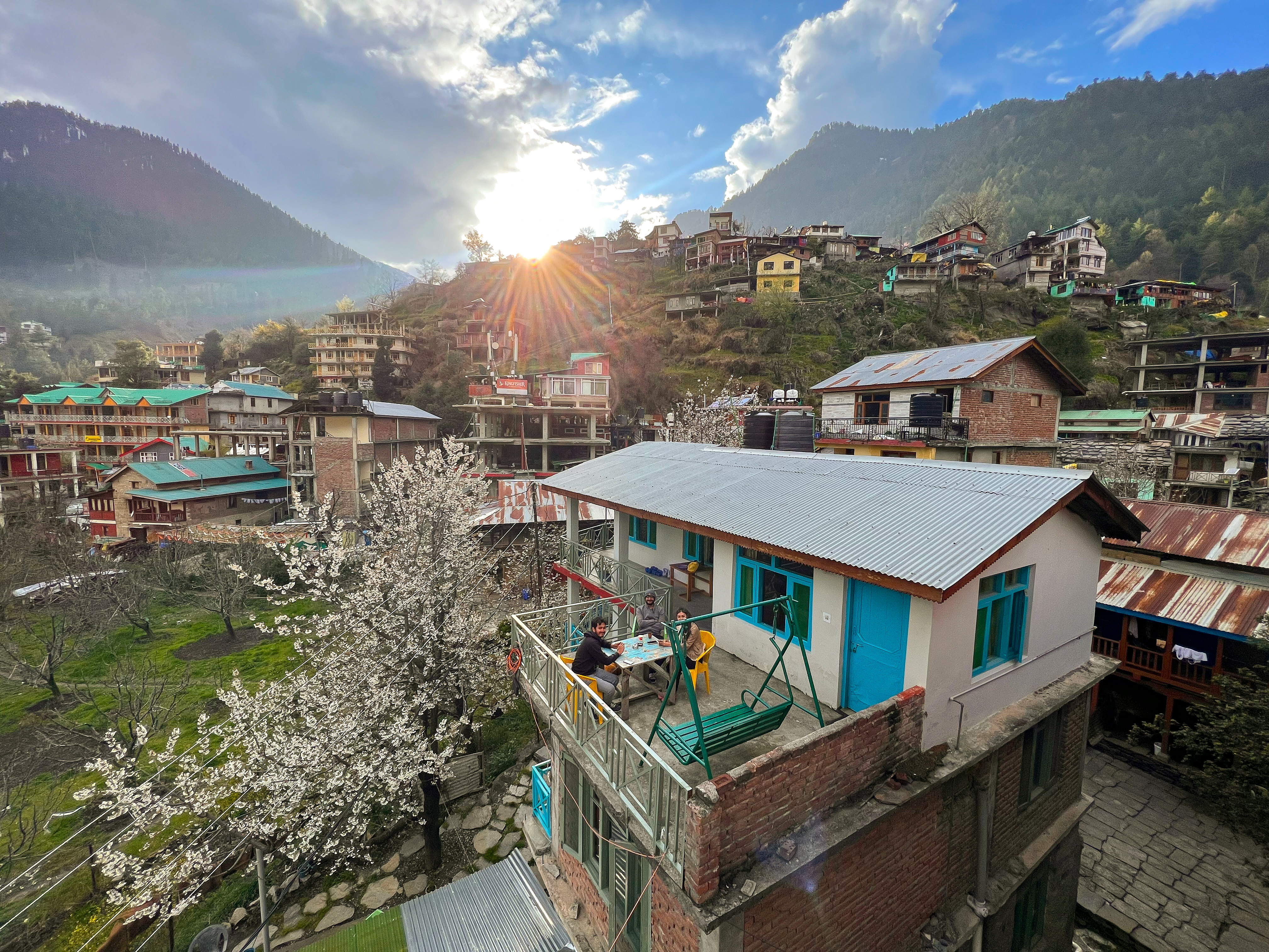 YOLO Homes boutique property amid cedar forests