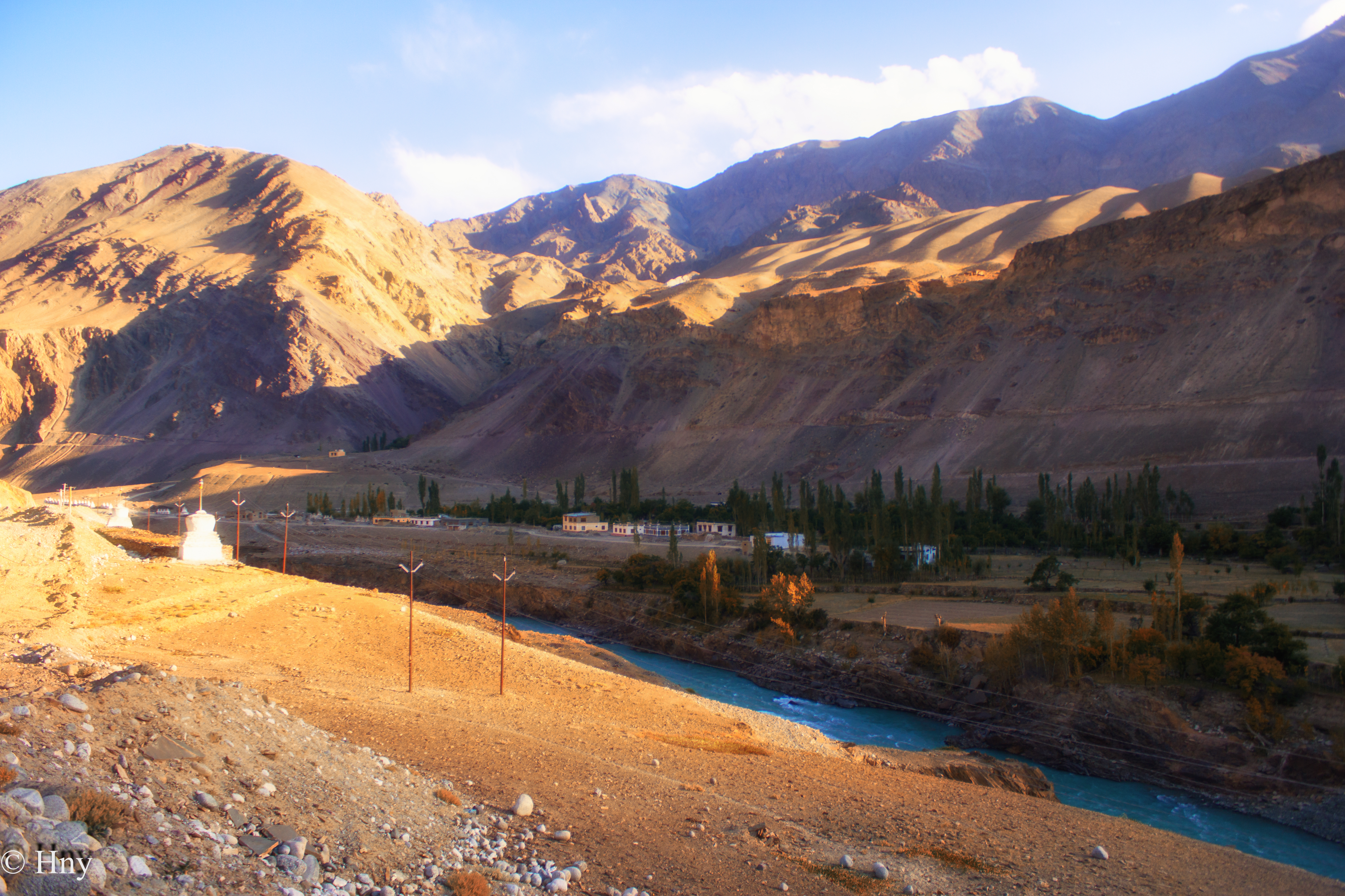 Work With Us at YOLO